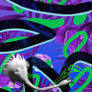 Meet your Posher, Emmanuel